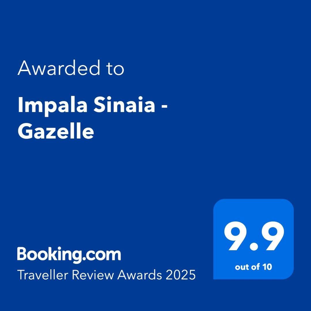Impala Sinaia - Gazelle Lägenhet Exteriör bild